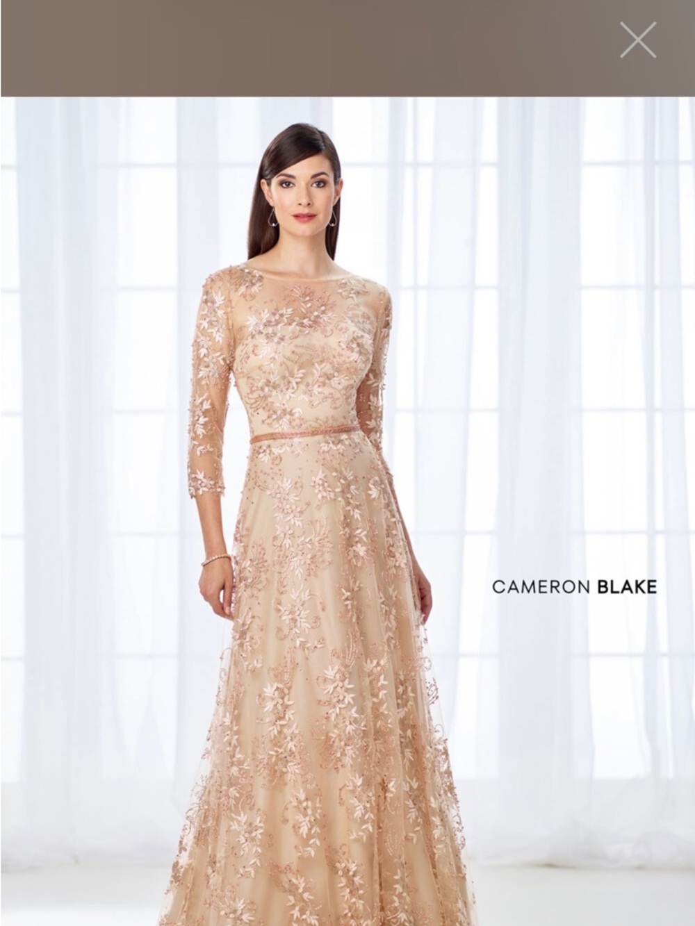 Cameron Blake Blush Embroidered Long-Sleeve Evening Dress Mother of the Bride